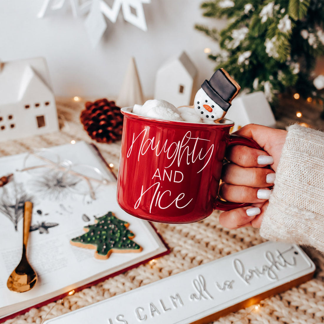 Naughty & Nice PRE-ORDER